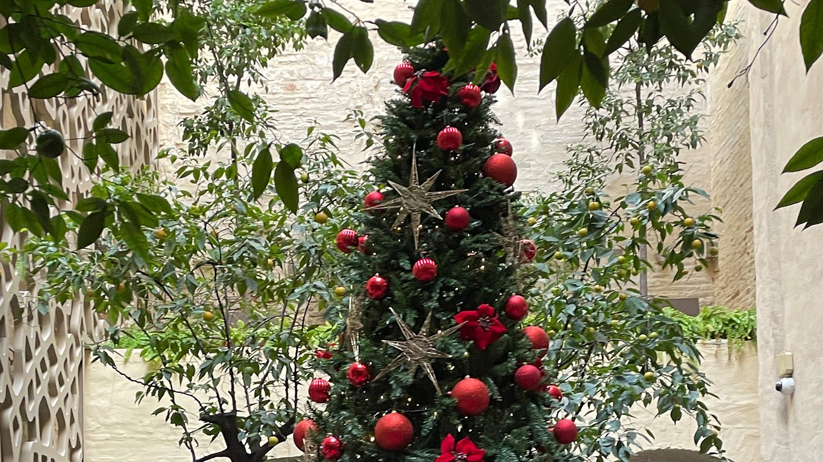 Christmas tree decoration, EME Catedral Mercer in Seville
