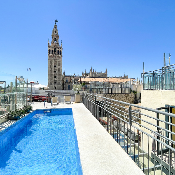 Swimming pool of the EME Catedral Mercer Hotel with views of the Cathedral of Seville
