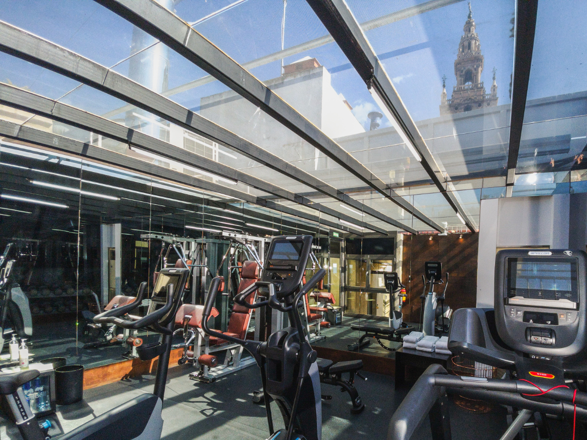 Gym at the EME Catedral Mercer Hotel in Seville