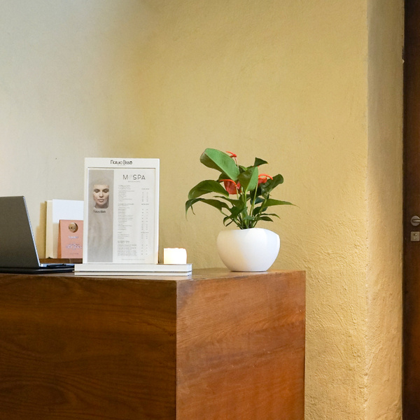 Recepción del M SPA en el EME Catedral Mercer Hotel